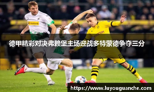 德甲精彩对决弗赖堡主场迎战多特蒙德争夺三分